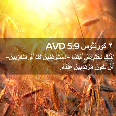 Picture 02 - ٢ كورنثوس 5:9 AVD - لِذَلِكَ نَحْتَرِصُ - Bible Verse Picture