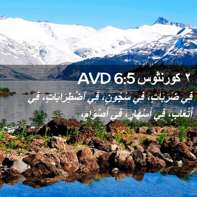 Picture 02 - ٢ كورنثوس 6:5 AVD - فِي ضَرَبَاتٍ، فِي - Bible Verse Picture