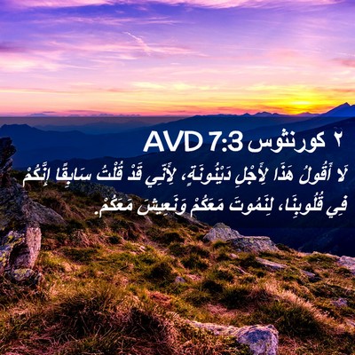 Picture 02 - ٢ كورنثوس 7:3 AVD - لَا أَقُولُ هَذَا لِأَجْلِ - Bible Verse Picture