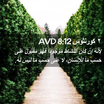 Picture 02 - ٢ كورنثوس 8:12 AVD - لِأَنَّهُ إِنْ كَانَ - Bible Verse Picture