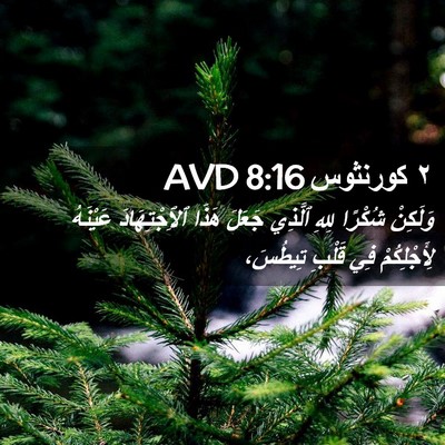 Picture 02 - ٢ كورنثوس 8:16 AVD - وَلَكِنْ شُكْرًا لِلهِ - Bible Verse Picture