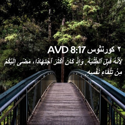 Picture 02 - ٢ كورنثوس 8:17 AVD - لِأَنَّهُ قَبِلَ - Bible Verse Picture