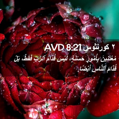 Picture 02 - ٢ كورنثوس 8:21 AVD - مُعْتَنِينَ بِأُمُورٍ - Bible Verse Picture