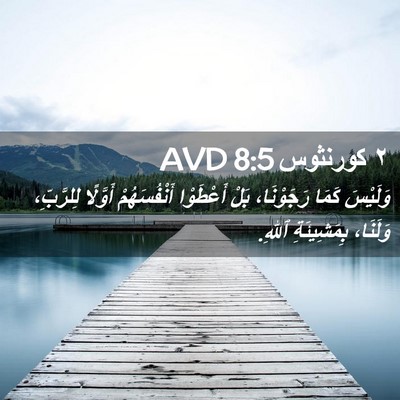 Picture 02 - ٢ كورنثوس 8:5 AVD - وَلَيْسَ كَمَا رَجَوْنَا، - Bible Verse Picture