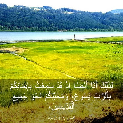 Picture 03 - أفَسُس 1:15 AVD - لِذَلِكَ أَنَا أَيْضًا - Bible Verse Picture