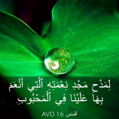 Picture 03 - أفَسُس 1:6 AVD - لِمَدْحِ مَجْدِ - Bible Verse Picture