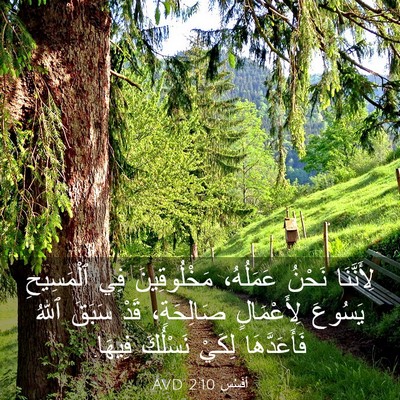 Picture 03 - أفَسُس 2:10 AVD - لِأَنَّنَا نَحْنُ - Bible Verse Picture