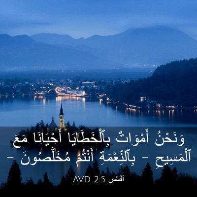 Picture 03 - أفَسُس 2:5 AVD - وَنَحْنُ أَمْوَاتٌ - Bible Verse Picture