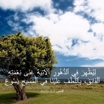 Picture 03 - أفَسُس 2:7 AVD - لِيُظْهِرَ فِي ٱلدُّهُورِ - Bible Verse Picture