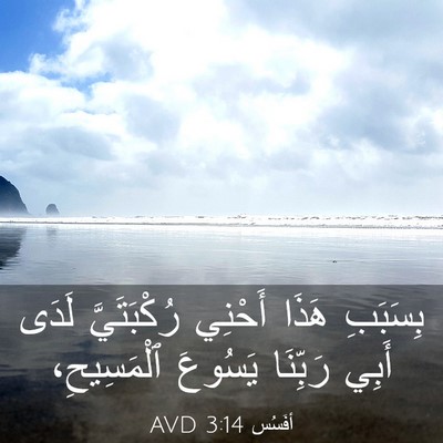 Picture 03 - أفَسُس 3:14 AVD - بِسَبَبِ هَذَا أَحْنِي - Bible Verse Picture