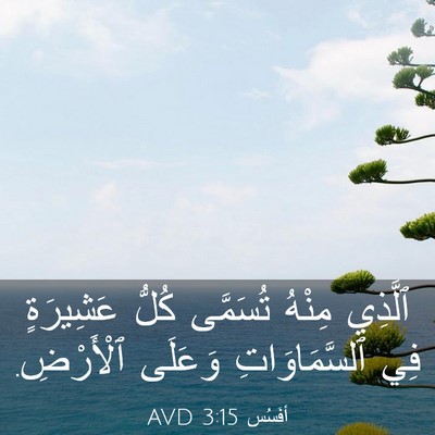Picture 03 - أفَسُس 3:15 AVD - ٱلَّذِي مِنْهُ تُسَمَّى - Bible Verse Picture