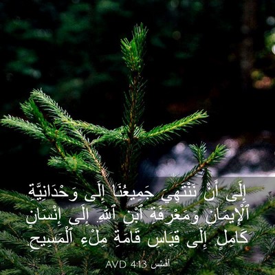 Picture 03 - أفَسُس 4:13 AVD - إِلَى أَنْ نَنْتَهِيَ - Bible Verse Picture