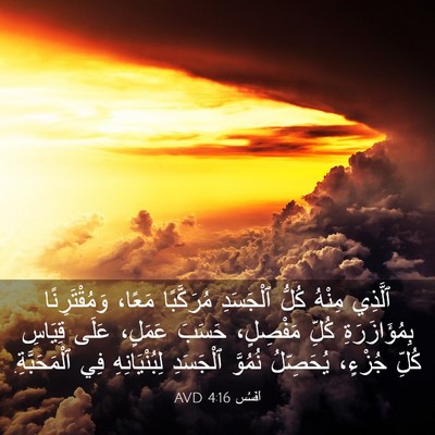 Picture 03 - أفَسُس 4:16 AVD - ٱلَّذِي مِنْهُ كُلُّ - Bible Verse Picture