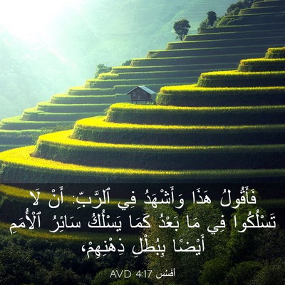 Picture 03 - أفَسُس 4:17 AVD - فَأَقُولُ هَذَا - Bible Verse Picture