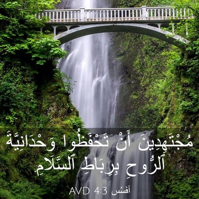 Picture 03 - أفَسُس 4:3 AVD - مُجْتَهِدِينَ أَنْ - Bible Verse Picture