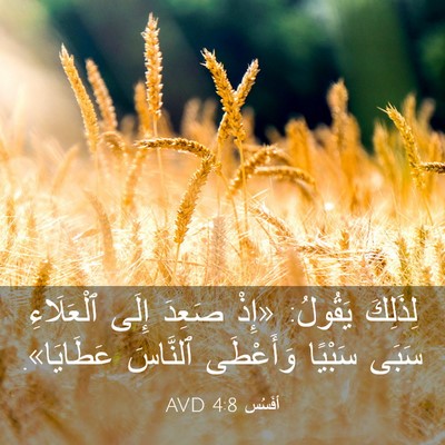 Picture 03 - أفَسُس 4:8 AVD - لِذَلِكَ يَقُولُ: «إِذْ - Bible Verse Picture