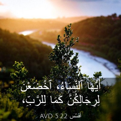 Picture 03 - أفَسُس 5:22 AVD - أَيُّهَا ٱلنِّسَاءُ، - Bible Verse Picture