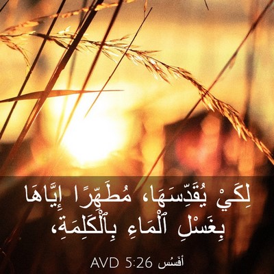 Picture 03 - أفَسُس 5:26 AVD - لِكَيْ يُقَدِّسَهَا، - Bible Verse Picture