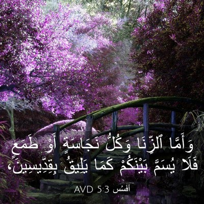 Picture 03 - أفَسُس 5:3 AVD - وَأَمَّا ٱلزِّنَا وَكُلُّ - Bible Verse Picture