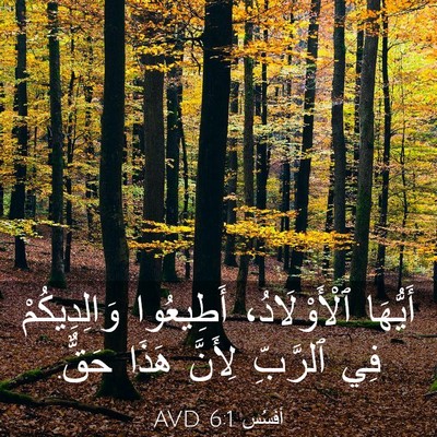 Picture 03 - أفَسُس 6:1 AVD - أَيُّهَا ٱلْأَوْلَادُ، - Bible Verse Picture