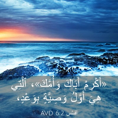 Picture 03 - أفَسُس 6:2 AVD - «أَكْرِمْ أَبَاكَ - Bible Verse Picture