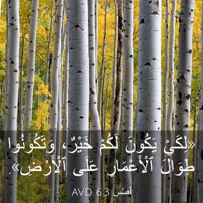 Picture 03 - أفَسُس 6:3 AVD - «لِكَيْ يَكُونَ لَكُمْ - Bible Verse Picture