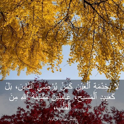 Picture 03 - أفَسُس 6:6 AVD - لَا بِخِدْمَةِ ٱلْعَيْنِ - Bible Verse Picture