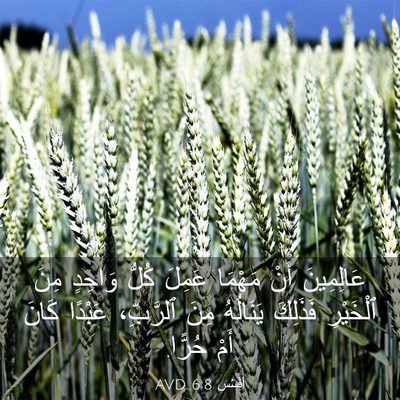 Picture 03 - أفَسُس 6:8 AVD - عَالِمِينَ أَنْ مَهْمَا - Bible Verse Picture