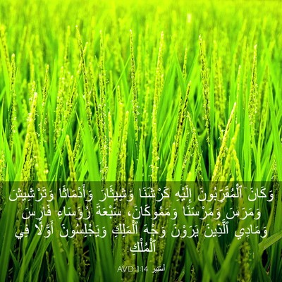 Picture 03 - أَسْتِير 1:14 AVD - وَكَانَ ٱلْمُقَرِّبُونَ - Bible Verse Picture