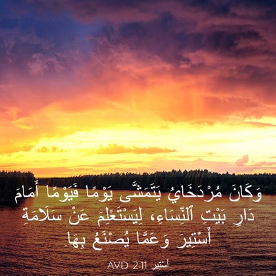 Picture 03 - أَسْتِير 2:11 AVD - وَكَانَ مُرْدَخَايُ - Bible Verse Picture