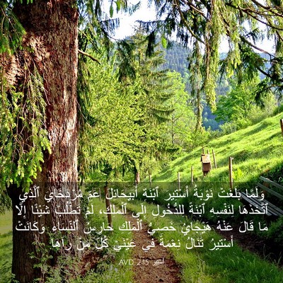 Picture 03 - أَسْتِير 2:15 AVD - وَلَمَّا بَلَغَتْ - Bible Verse Picture