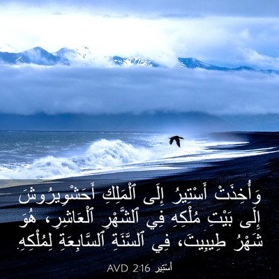 Picture 03 - أَسْتِير 2:16 AVD - وَأُخِذَتْ أَسْتِيرُ - Bible Verse Picture