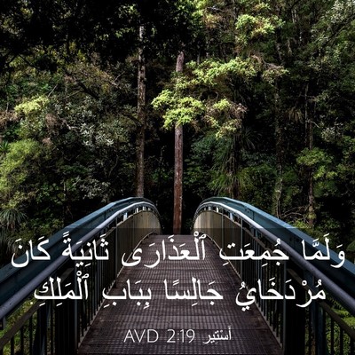Picture 03 - أَسْتِير 2:19 AVD - وَلَمَّا جُمِعَتِ - Bible Verse Picture