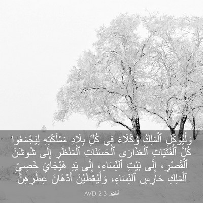 Picture 03 - أَسْتِير 2:3 AVD - وَلْيُوَكِّلِ ٱلْمَلِكُ - Bible Verse Picture