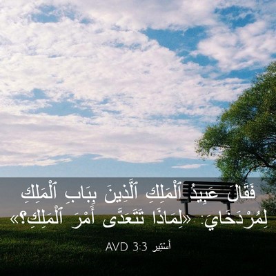 Picture 03 - أَسْتِير 3:3 AVD - فَقَالَ عَبِيدُ ٱلْمَلِكِ - Bible Verse Picture