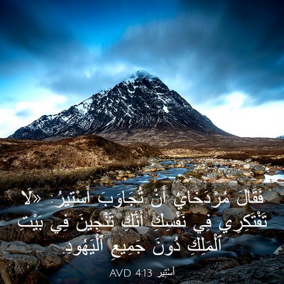 Picture 03 - أَسْتِير 4:13 AVD - فَقَالَ مُرْدَخَايُ أَنْ - Bible Verse Picture