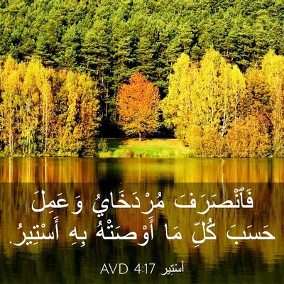 Picture 03 - أَسْتِير 4:17 AVD - فَٱنْصَرَفَ مُرْدَخَايُ - Bible Verse Picture