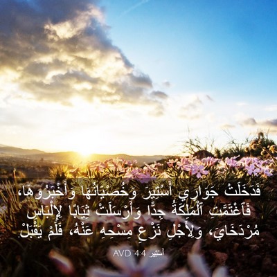 Picture 03 - أَسْتِير 4:4 AVD - فَدَخَلَتْ جَوَارِي - Bible Verse Picture