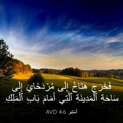 Picture 03 - أَسْتِير 4:6 AVD - فَخَرَجَ هَتَاخُ إِلَى - Bible Verse Picture