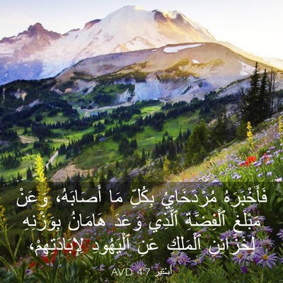 Picture 03 - أَسْتِير 4:7 AVD - فَأَخْبَرَهُ مُرْدَخَايُ - Bible Verse Picture