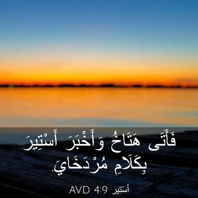 Picture 03 - أَسْتِير 4:9 AVD - فَأَتَى هَتَاخُ - Bible Verse Picture