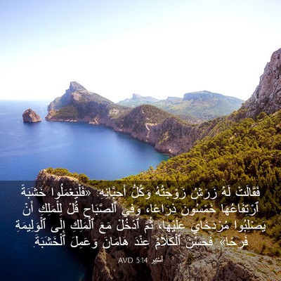 Picture 03 - أَسْتِير 5:14 AVD - فَقَالَتْ لَهُ زَرَشُ - Bible Verse Picture