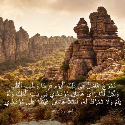 Picture 03 - أَسْتِير 5:9 AVD - فَخَرَجَ هَامَانُ فِي - Bible Verse Picture