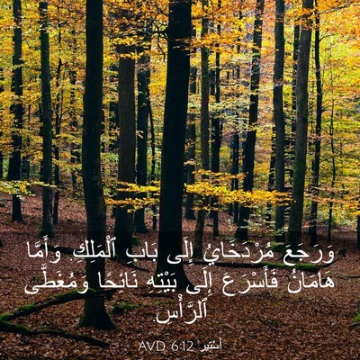 Picture 03 - أَسْتِير 6:12 AVD - وَرَجَعَ مُرْدَخَايُ - Bible Verse Picture