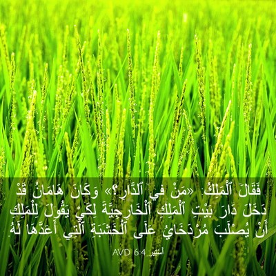 Picture 03 - أَسْتِير 6:4 AVD - فَقَالَ ٱلْمَلِكُ: «مَنْ - Bible Verse Picture