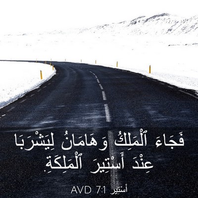 Picture 03 - أَسْتِير 7:1 AVD - فَجَاءَ ٱلْمَلِكُ - Bible Verse Picture