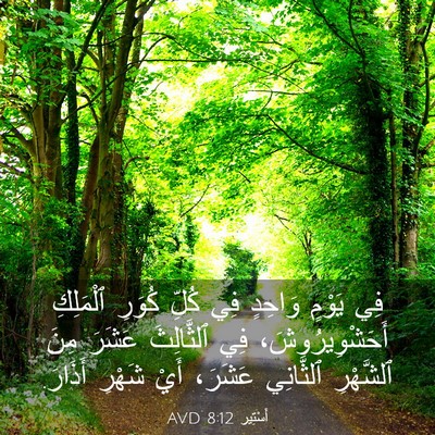 Picture 03 - أَسْتِير 8:12 AVD - فِي يَوْمٍ وَاحِدٍ فِي - Bible Verse Picture