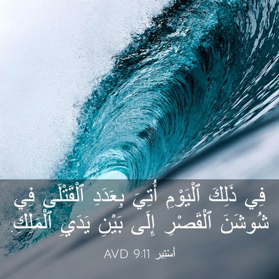 Picture 03 - أَسْتِير 9:11 AVD - فِي ذَلِكَ ٱلْيَوْمِ - Bible Verse Picture