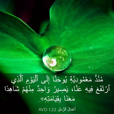 Picture 03 - أَعْمَالُ ٱلرُّسُلِ 1:22 AVD - مُنْذُ مَعْمُودِيَّةِ - Bible Verse Picture