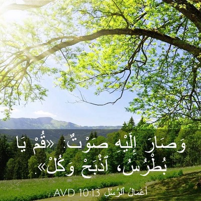 Picture 03 - أَعْمَالُ ٱلرُّسُلِ 10:13 AVD - وَصَارَ إِلَيْهِ صَوْتٌ: - Bible Verse Picture